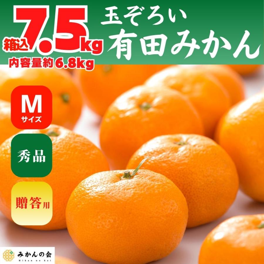 みかん 箱込 7.5kg 内容量 6.8kg Mサイズ 秀品 有田みかん 和歌山県産 産地直送 贈答用 