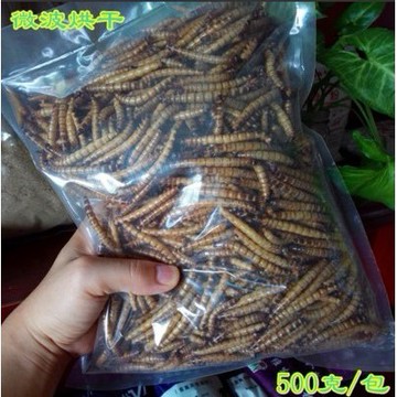 F JiueseAqua大麥蟲乾 麥皮蟲乾 超級麵包蟲 刺蝟/倉鼠/鼠/蜜袋鼯/爬蟲類/蜥蜴/鳥類/觀賞魚/兩棲爬蟲點心