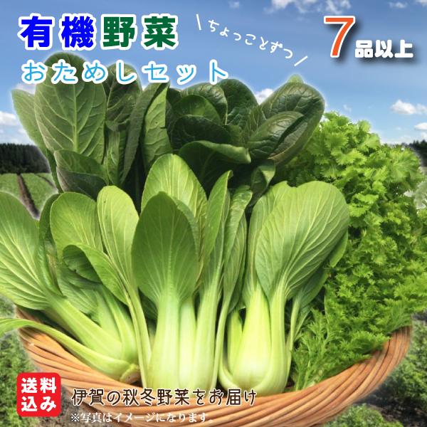 7品目以上！伊賀の有機野菜おためしセット（送料込み 11月クール代別途300円）