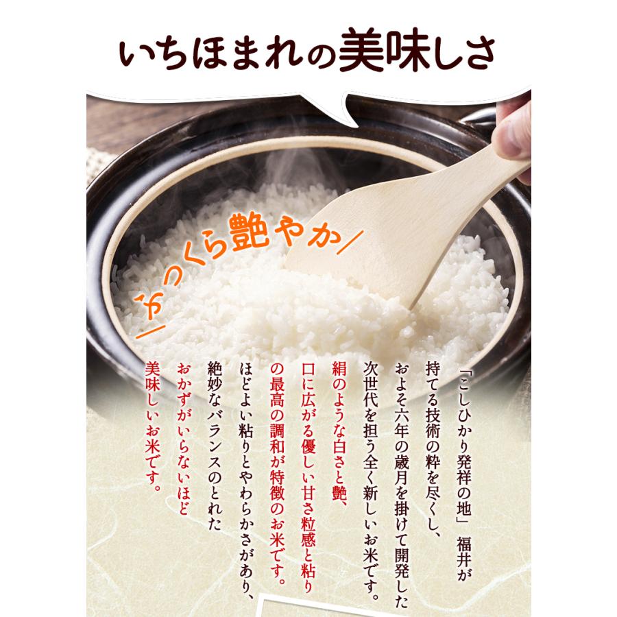 いちほまれ 5kg 真空パック 令和5年福井県産 新米入荷 送料無料 福井県のブランド米