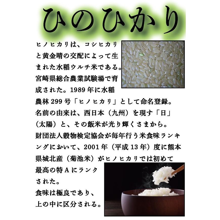 お米 米 5kg 玄米 送料無料 熊本県産 ひのひかり 新米 令和5年産 ヒノヒカリ あすつく 5kg1個 くまもとのお米 富田商店 とみた商店