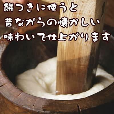 新米 新潟県産 白米 こがねもち米 5kg 令和5年産