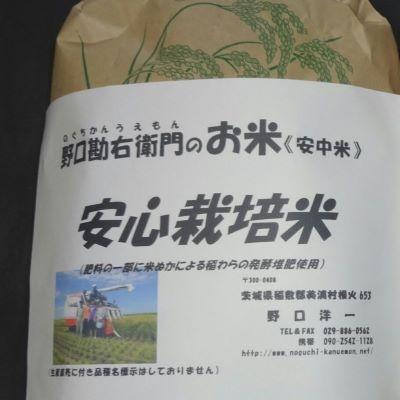 ふるさと納税 美浦村 野口勘右衛門のお米「安心栽培米(コシヒカリ)」玄米20kg(10kg×2)