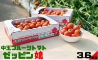 中玉フルーツトマト「ゼッピン娘」1.8kg×2箱（計3.6kg） 希少な品種 華おとめ 甘い[№5802-0763]