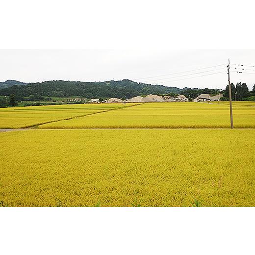 ふるさと納税 新潟県 長岡市 C2-M101新潟県魚沼産特別栽培米コシヒカリ（長岡川口地域）無洗米10kg（5kg×2袋）