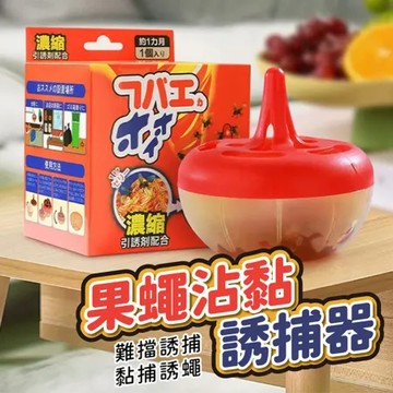果蠅沾黏誘捕器D461902