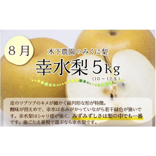 ふるさと納税 福井県 坂井市 木下農園のみくに梨 「こだわり梨の定期便」5kg (10〜12玉) × 3回【2024年8月中旬以降順次発送…