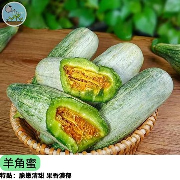 日本進口超甜羊角蜜種子（Extra Sweet Goat's Horn Melon） 水果黃瓜 哈蜜瓜口感