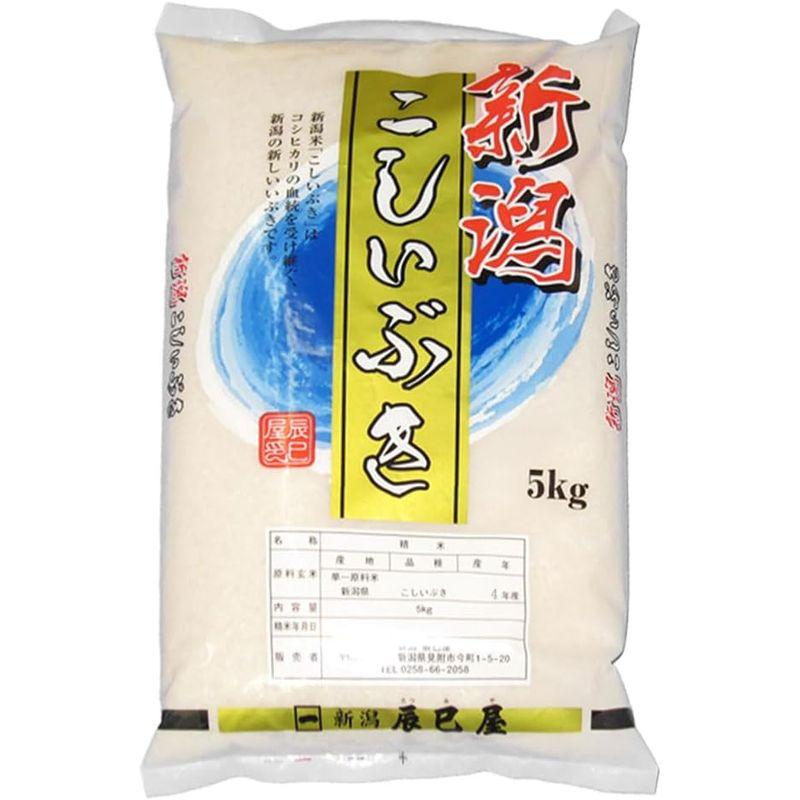 精米令和4年産 新潟県産こしいぶき 白米 5kg 新潟辰巳屋