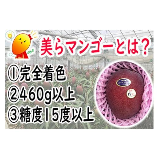 ふるさと納税 沖縄県 豊見城市 美らマンゴー約900g（2玉）