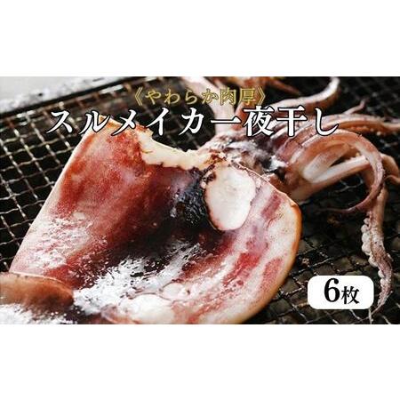 ふるさと納税 柔らか肉厚の スルメイカ 一夜干し 6枚[ 国産 干物 肴