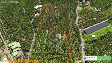 ~急售~內埔東勢國小旁7分方正超便宜有路農地｜屏東縣內埔鄉東勢段