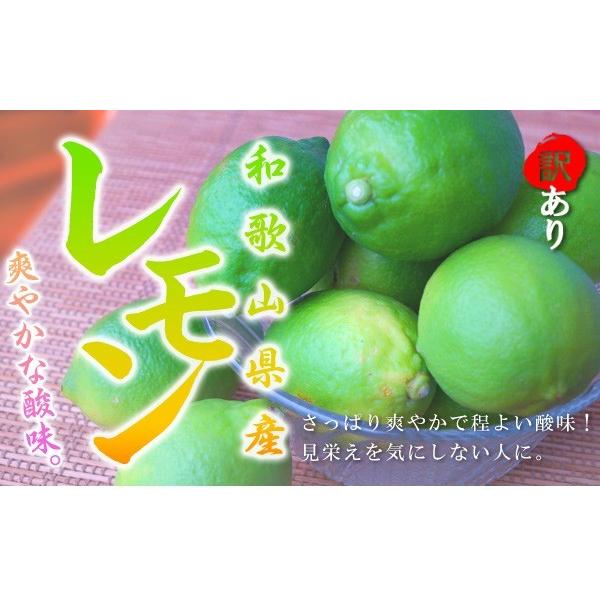 レモン 3kg（箱込約3kg） 国産 訳あり・ご家庭用 檸檬 送料無料（東北・北海道・沖縄県除く）