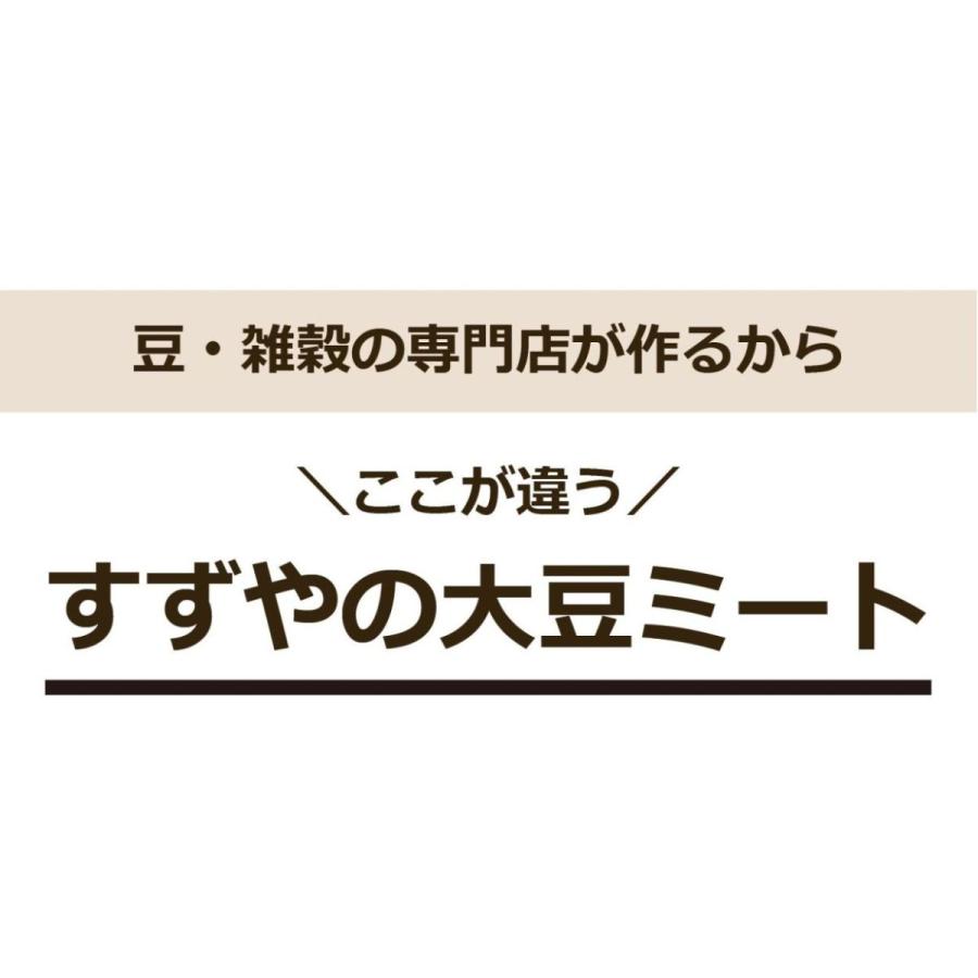 大豆ミート 国産 北海道大豆100％ 200g ミンチタイプ ひき肉