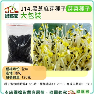 綠藝家【00J14】大包裝.黑芝麻芽種子120克(芽菜種子)