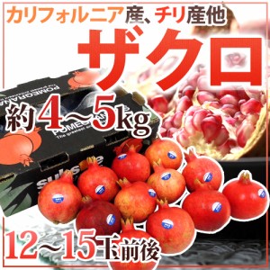 カリフォルニア、チリ産 ほか ”ザクロ” 12～15玉前後 約4～5kg 送料無料