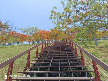 大坪頂 坪鳳公園大地坪漂亮雙車墅｜高雄市小港區高坪五十二街