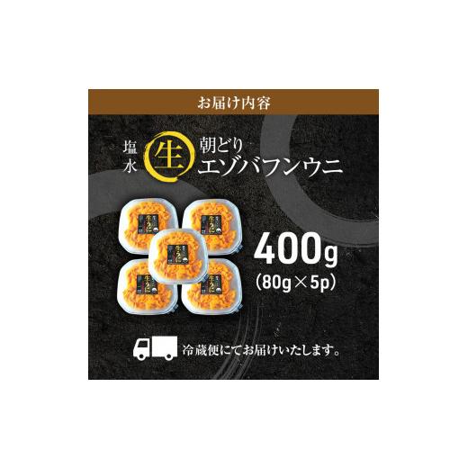 ふるさと納税 北海道 利尻町 北海道利尻島産「朝どり」生うに塩水パック80g×5パック（蝦夷バフンウニ）［2024年6月発送開始先行受付] ウニ 塩水ウニ 北海道 …