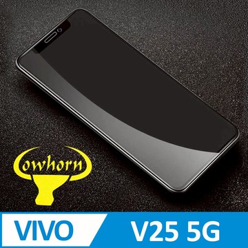 vivo V25 5G 2.5D曲面滿版 9H防爆鋼化玻璃保護貼 黑色