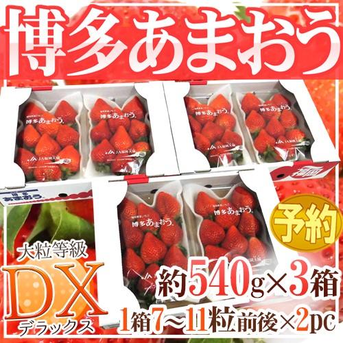 福岡産 博多 ”あまおういちご” 等級DX（デラックス） 3箱 6パック入り（1パック約270g） 送料無料