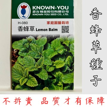 【隔日配-免運】香蜂草種子 蜜蜂花 檸檬香草 盆栽 蔬菜 種子 園藝 植栽 香草植物