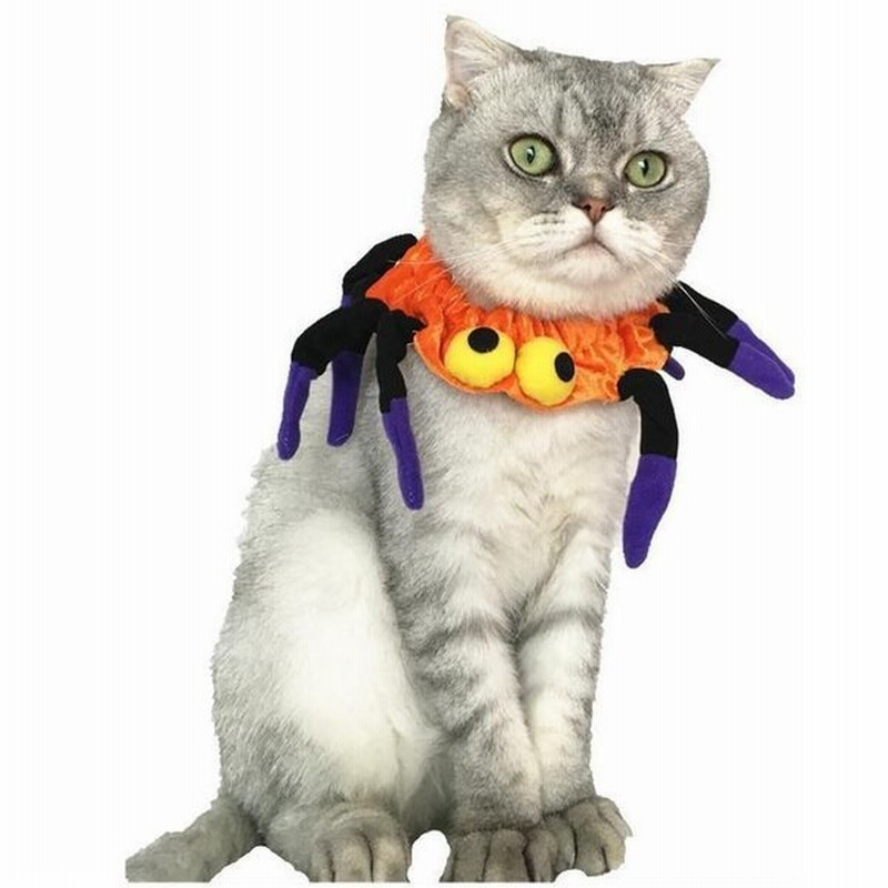 ペット用 犬猫兼用 チョーカー 首飾り クモ スパイダー 蜘蛛 ハロウィン ハロウィーン Halloween コスチューム コスプレ アクセサリー フ 通販 Lineポイント最大0 5 Get Lineショッピング