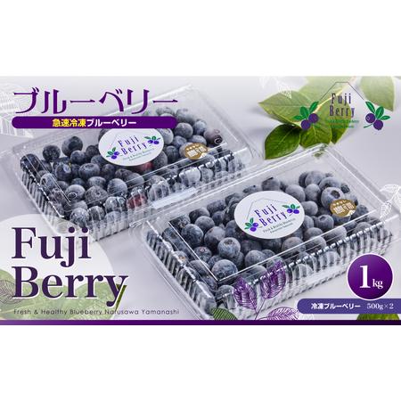 ふるさと納税 Fuji Berry 急速冷凍ブルーベリー1kg NSAA008 山梨県鳴沢村