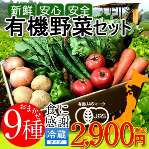 日本の有機野菜セット 旬のおまかせ9種類 全国ご当地生産者のこだわり有機栽培 ベジタブル スムージー 野菜材料