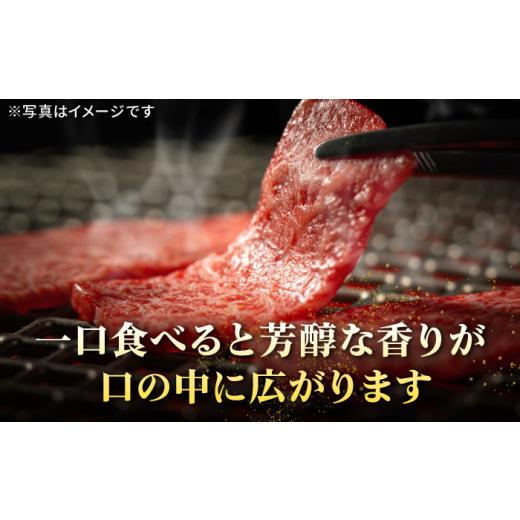 ふるさと納税 長崎県 壱岐市  特選 壱岐牛 モモ 500g （ 焼肉 ）《壱岐市》 肉 牛肉 和牛 黒毛和牛 贅沢 BBQ 焼肉 赤身 [JDL003] 20000 20000円 2…