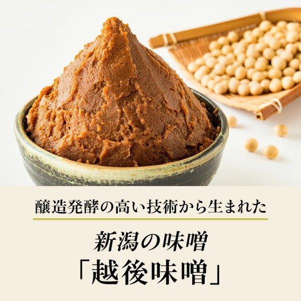 鮭 料亭の味 魚鮭の越後味噌漬  4切詰合せ お試し価格 簡易包装 サーモン さけ 味噌漬け 漬け魚 鮮魚 味噌 切り身 生切り身 焼き魚 おにぎり