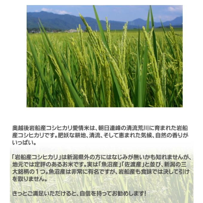 玄米 農薬低減米 コシヒカリ 2kg 米 お米   低農薬 新潟 岩船産 令和5年産 新米   人気 おいしい 新潟米 こしひかり 送料無料