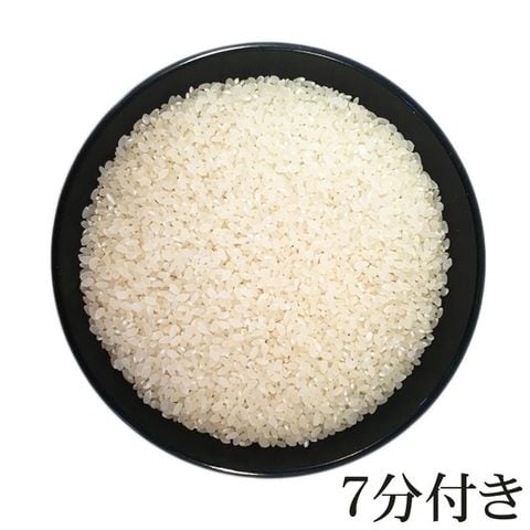 新米 お米 ポイント消化  米 送料無料 雪若丸 7分づき 300g (2合) 令和5年産 山形県産 白米 無洗米 分づき 玄米 当日精米 真空パック メール便 ゆうパケ