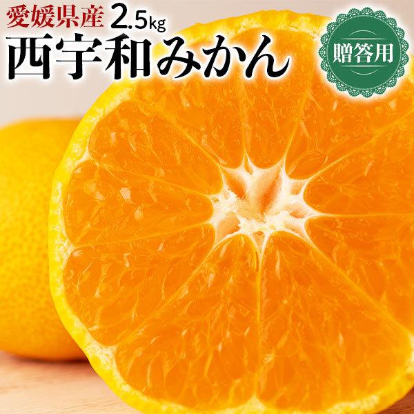 みかん 贈答用 愛媛 西宇和みかん 3kg S〜Lサイズ混合 お取り寄せ 果物 フルーツ ミカン ギフト 愛媛県 西宇和産 限定 送料無料