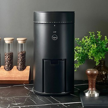 Palico Pro 家用電動磨豆機 │ 58mm平盤 │ 41檔