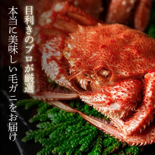 北海道オホーツク産 特選毛ガニ (500g×2) 海鮮ギフト 毛蟹 お取り寄せグルメ 贈答品 高級