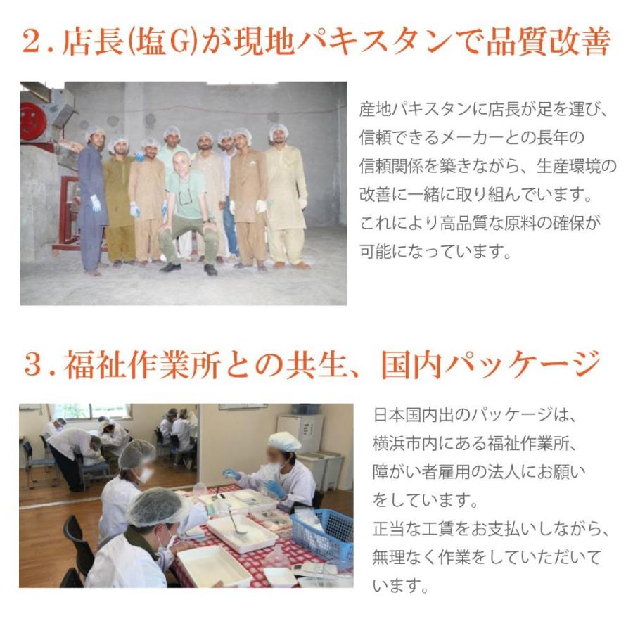 岩塩 ヒマラヤ岩塩 クリスタル岩塩 パウダータイプ 10kg 1kg×10袋 天然塩 自然塩 粉末 食用 無添加 源気商会