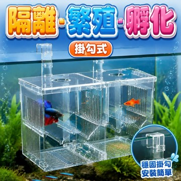 魚缸孵化盒 孔雀魚鬥魚隔離盒 小魚產卵器 水族繁殖盒 掛勾式孔雀魚繁殖盒