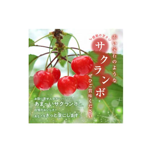 ふるさと納税 北海道 余市町 もぎたて直送 さくらんぼ 佐藤錦 1kg箱(北海道余市町産)