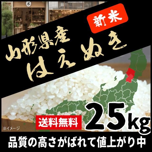 お米 25kg 新米 白米 送料無料 はえぬき 山形県産 令和5年産 1等米 沖縄・離島配送不可