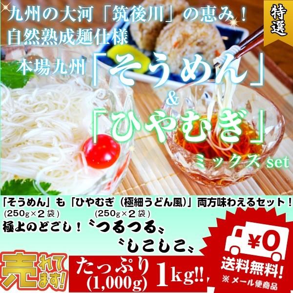 そうめん　ひやむぎ　冷麦　素麺　お取り寄せ　九州熟成そうめん250g×2袋　　九州熟成ひやむぎ250g×2袋　たっぷり1キロ　お試しグルメギフト