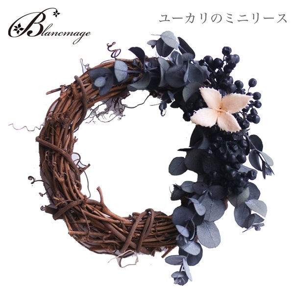 ミニリース ユーカリリース Bhinternalmedicine Com