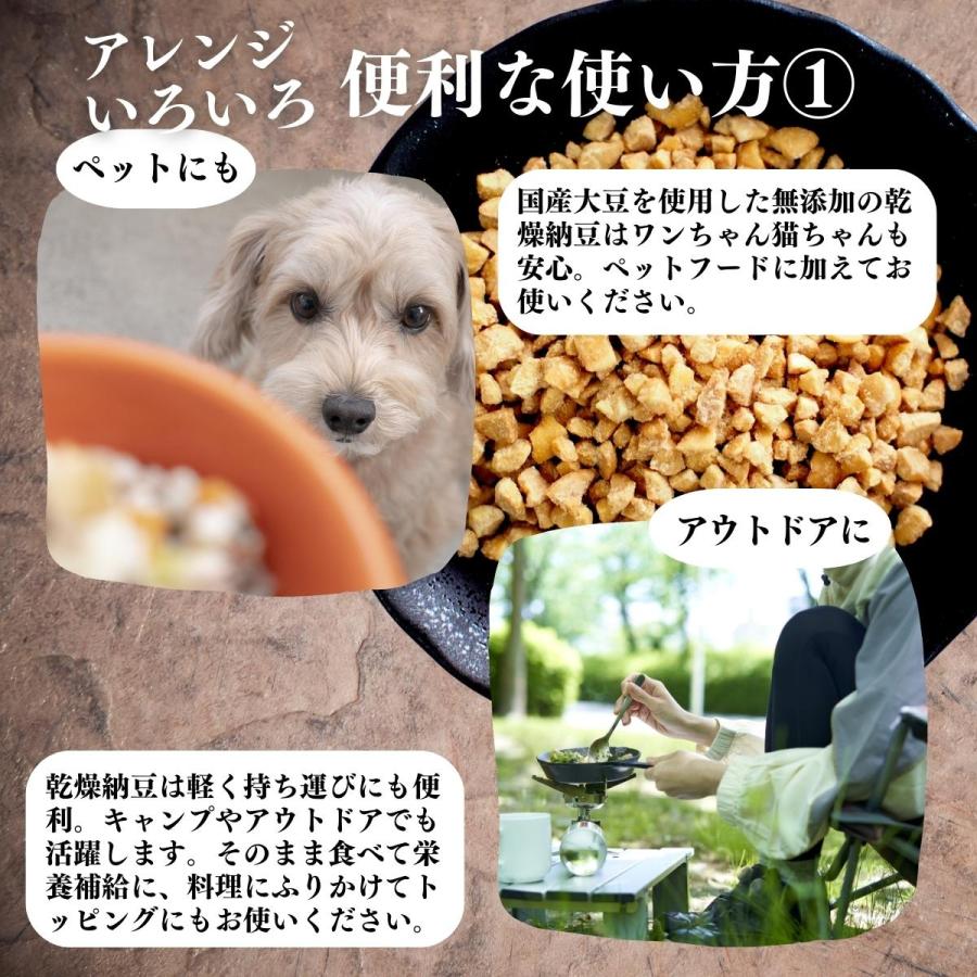 乾燥納豆 100g×10個 ドライ納豆 ひきわり納豆 無添加 犬 国産