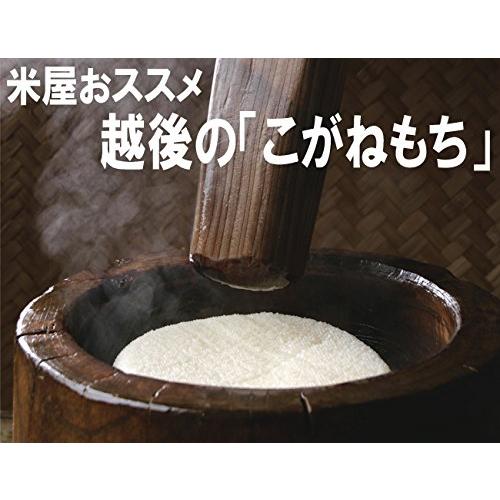 新米 令和5年産 もち米 特別栽培米 新潟産 精白米 こがねもち 5kg (5kg)