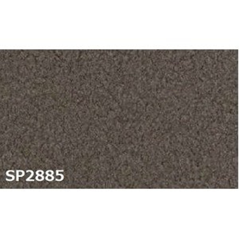 ds-2462160 のり無し壁紙 サンゲツ SP2885 【無地】 92cm巾 15m巻