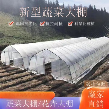 免運 公司貨 大棚 種植大棚全套大棚骨架養殖大棚雞棚養豬棚蔬菜大棚花卉棚保溫大棚 可開發票 全館八折 工廠現貨直銷 新品特價 h11224