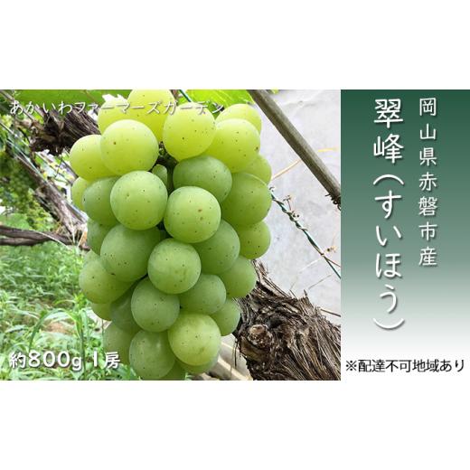 ふるさと納税 岡山県 赤磐市 ぶどう 2024年 先行予約 翠峰 すいほう 約800g 1房 葡萄 岡山県 赤磐市産 フルーツ 果物 あかいわファーマーズガーデン