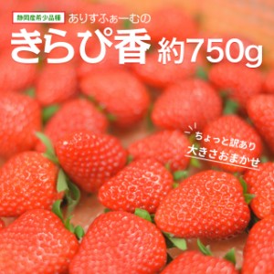 訳あり いちご きらぴ香 ありすふぁーむ 約750g 送料無料 ワケあり 静岡 イチゴ 苺 ichigo 訳ありいちご 農家直送 静岡県 果物 フルーツ