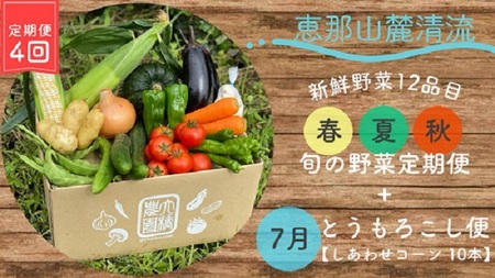  採れたて！4回の野菜定期便（5月～10月）～春夏秋の旬の野菜（12品目）と朝採れとうもろこし「しあわせコーン」～ 42-002