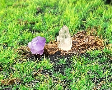 紫晶骨幹 白水晶簇 | 招財開運 避邪保平安 | 入厝 禮品 快速出貨