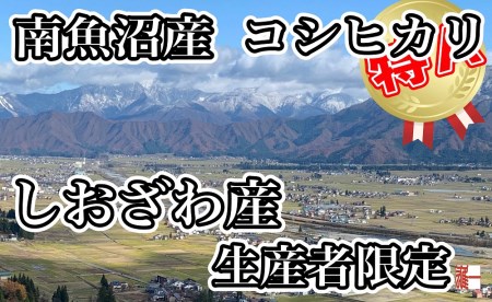 生産者限定 契約栽培 南魚沼しおざわ産コシヒカリ